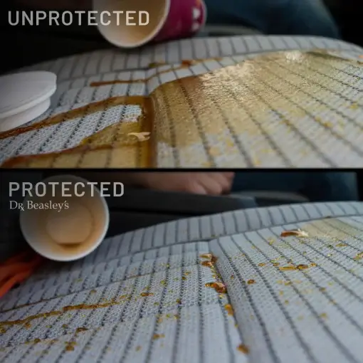 Carpet & Upholstery Protection - Image 4