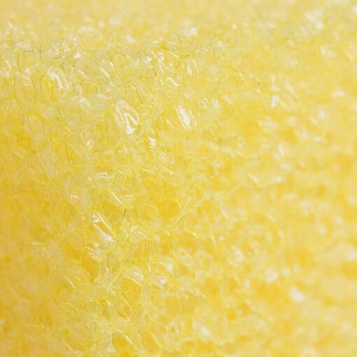 Bug Sponge-371