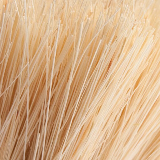 Bristle Detail