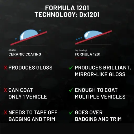 Formula 1201 - Image 5