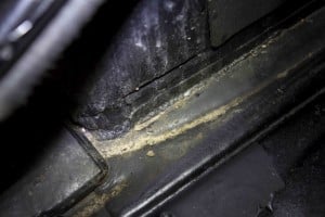 Storing a car, rats, mice, Dangers, Precautions