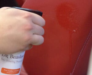 Everyday Leather Cleanser