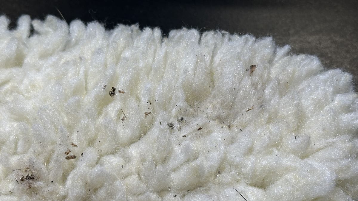 Particles embedded in wash mitt