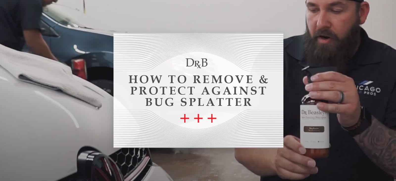 VIDEO How To Remove Bugs From Your Car & Protect Car Paint From Bugs