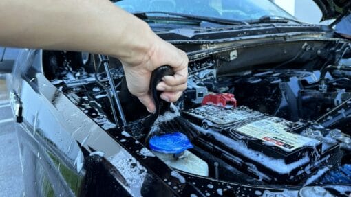 Future of Detailing — 3-Day Auto & Marine Detailing Class with Mike Phillips (September 20-22, 2024) - Image 407