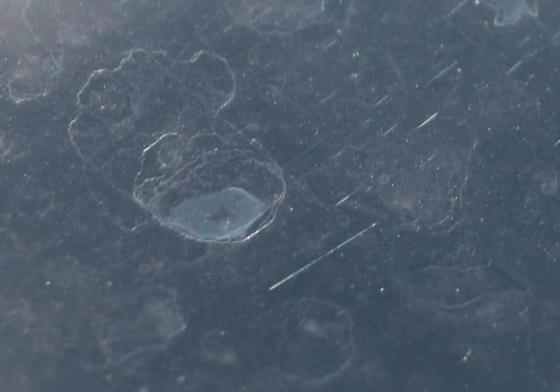 Alkaline water spot from wildfire ash