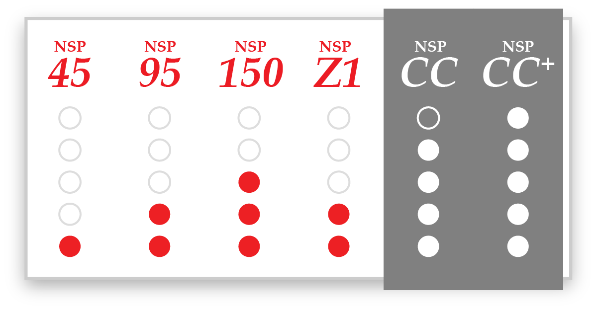 NSP CoreCut Aggression Scale