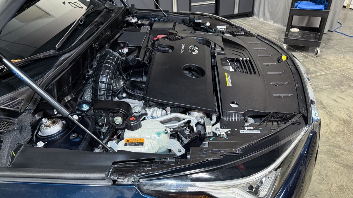 Engine bay after detailing