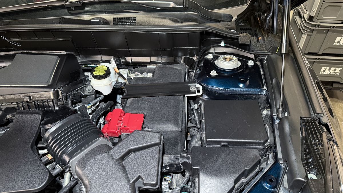 Engine bay after detailing