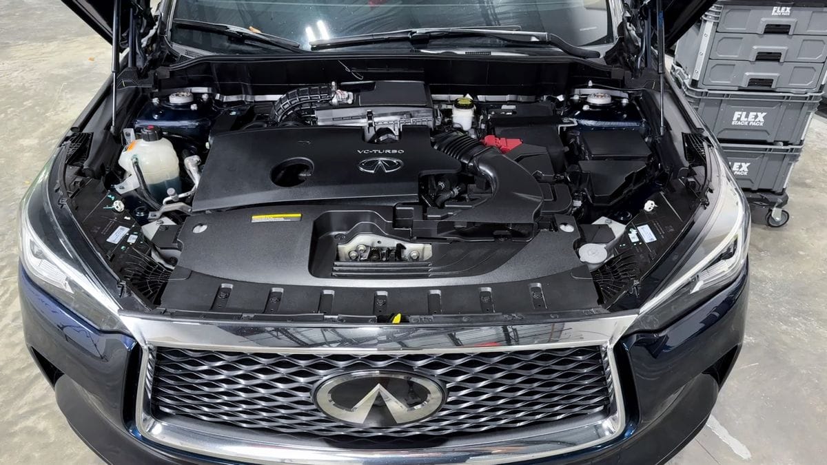 Engine bay after detailing