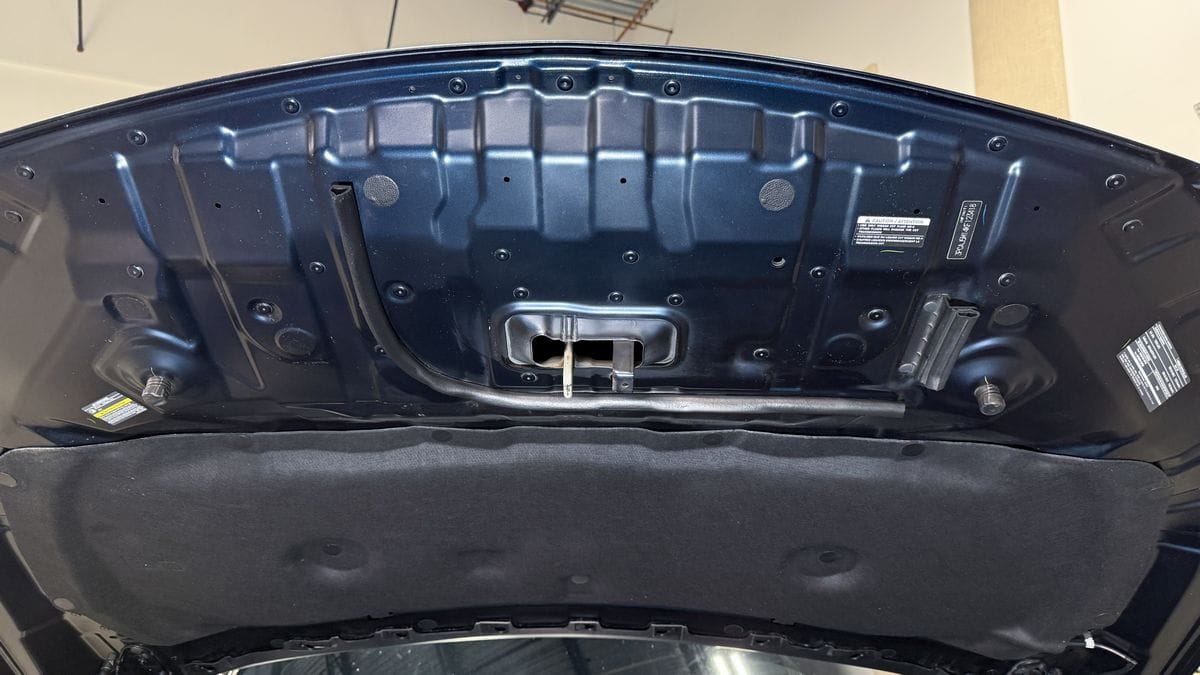 Engine bay after detailing