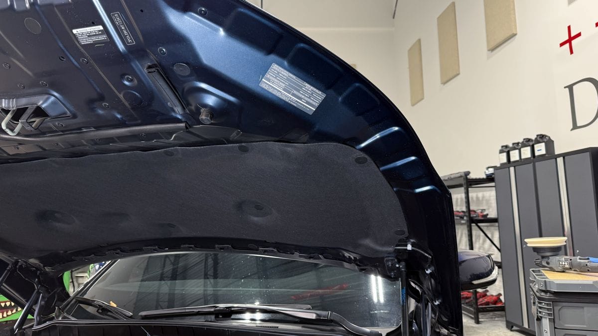 Engine bay after detailing