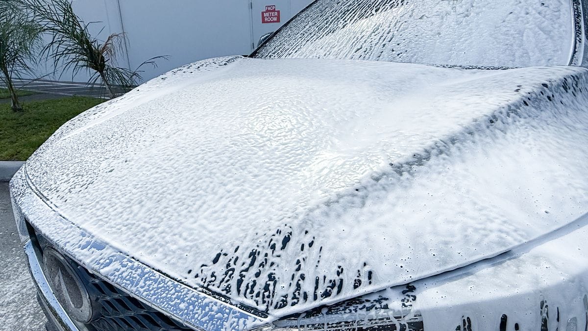 Foam dwelling on car hood