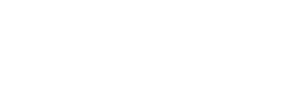FLEX logo in white