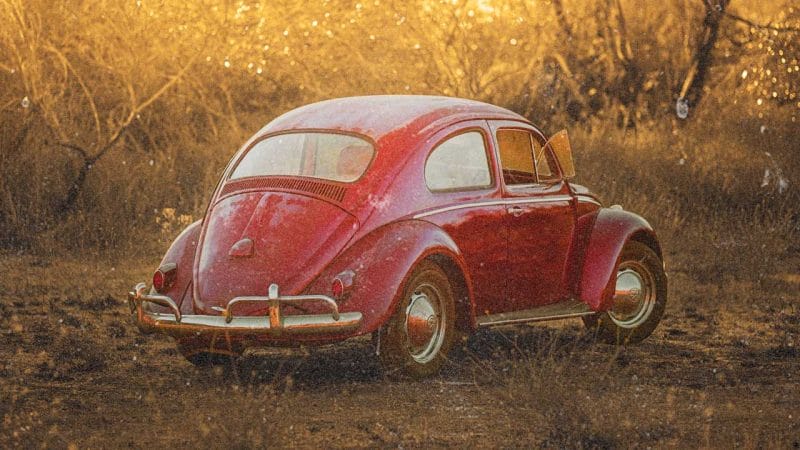 Neglected VW Beetle