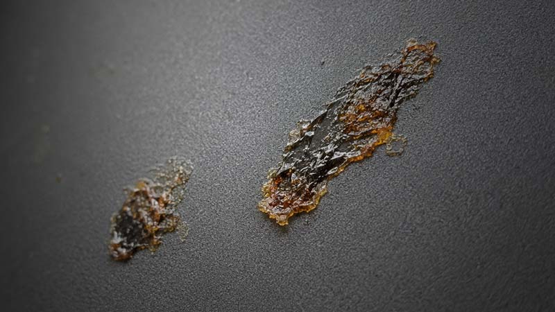 Bonded sap on matte finish
