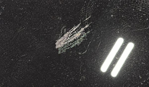 Insect remains on windshield