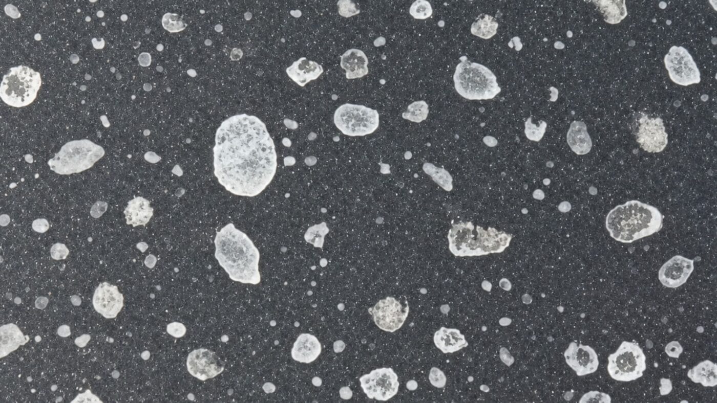 Water spots and mineral deposits on car paint after summer