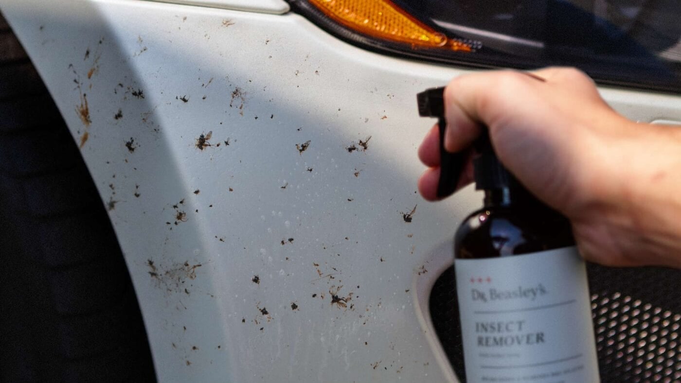 Lovebug residue covering a car's front end during Florida lovebug season